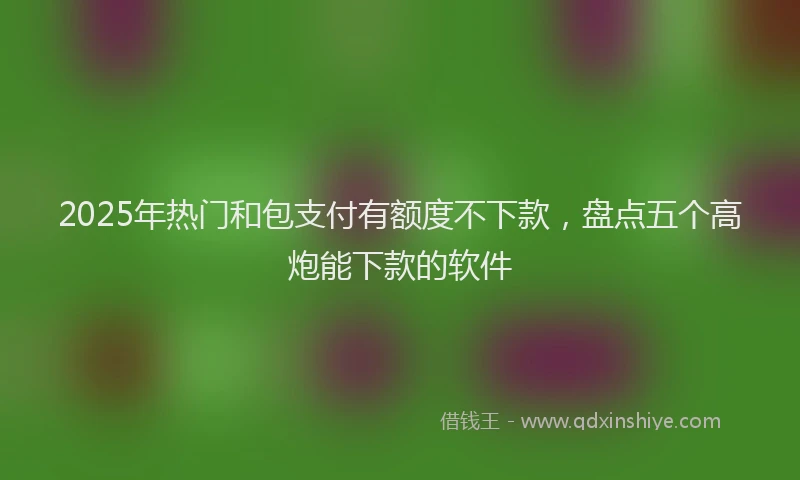 2025年热门和包支付有额度不下款，盘点五个高炮能下款的软件