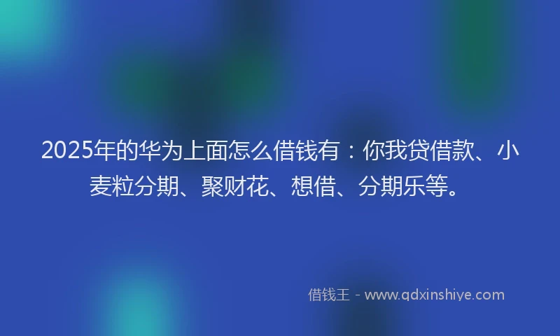 2025年的华为上面怎么借钱有：你我贷借款、小麦粒分期、聚财花、想借、分期乐等。