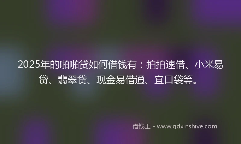 2025年的啪啪贷如何借钱有：拍拍速借、小米易贷、翡翠贷、现金易借通、宜口袋等。