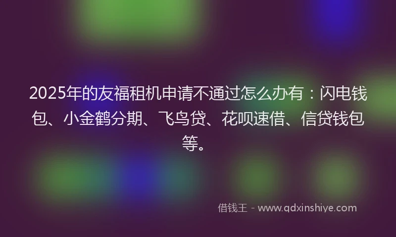 2025年的友福租机申请不通过怎么办有：闪电钱包、小金鹤分期、飞鸟贷、花呗速借、信贷钱包等。
