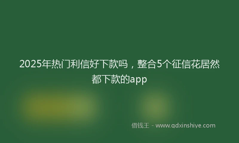 2025年热门利信好下款吗，整合5个征信花居然都下款的app