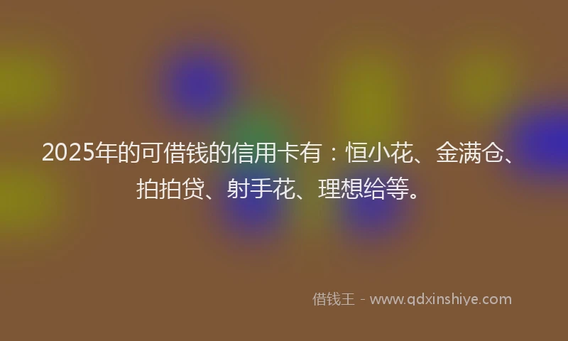 2025年的可借钱的信用卡有：恒小花、金满仓、拍拍贷、射手花、理想给等。