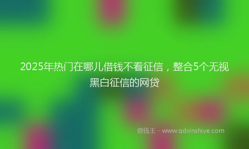 2025年热门在哪儿借钱不看征信，整合5个无视黑白征信的网贷