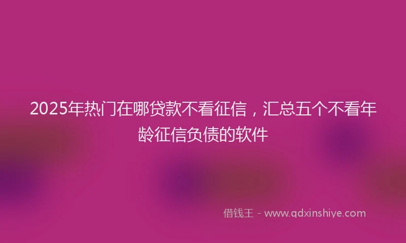 2025年热门在哪贷款不看征信，汇总五个不看年龄征信负债的软件