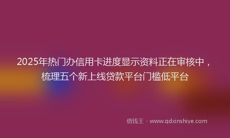 2025年热门办信用卡进度显示资料正在审核中，梳理五个新上线贷款平台门槛低平台