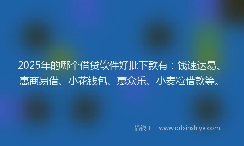 2025年的哪个借贷软件好批下款有：钱速达易、惠商易借、小花钱包、惠众乐、小麦粒借款等。
