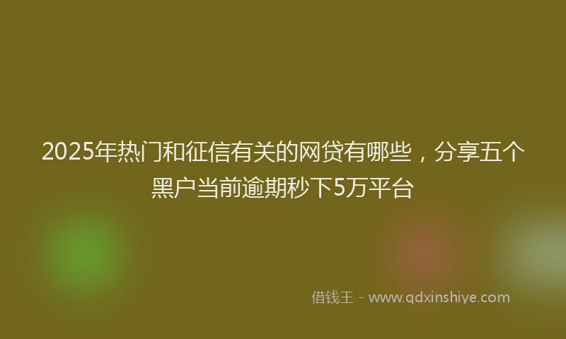 2025年热门和征信有关的网贷有哪些，分享五个黑户当前逾期秒下5万平台