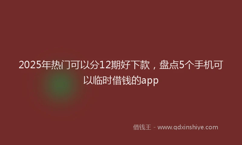 2025年热门可以分12期好下款，盘点5个手机可以临时借钱的app