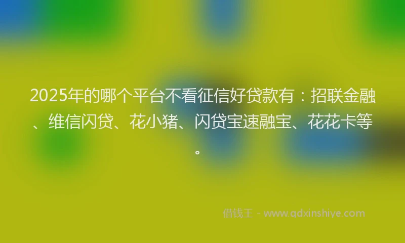 2025年的哪个平台不看征信好贷款有：招联金融、维信闪贷、花小猪、闪贷宝速融宝、花花卡等。