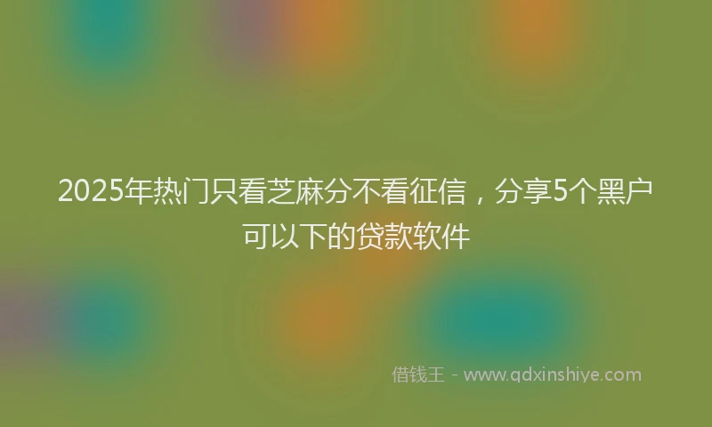 2025年热门只看芝麻分不看征信，分享5个黑户可以下的贷款软件