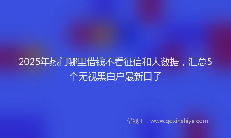 2025年热门哪里借钱不看征信和大数据，汇总5个无视黑白户最新口子