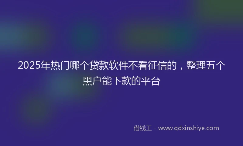 2025年热门哪个贷款软件不看征信的，整理五个黑户能下款的平台