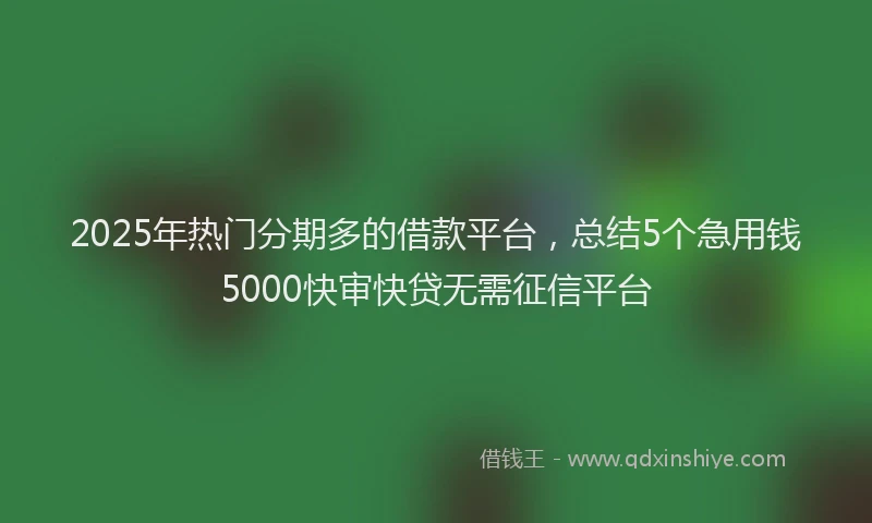 2025年热门分期多的借款平台，总结5个急用钱5000快审快贷无需征信平台