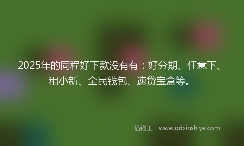 2025年的同程好下款没有有：好分期、任意下、租小新、全民钱包、速贷宝盒等。