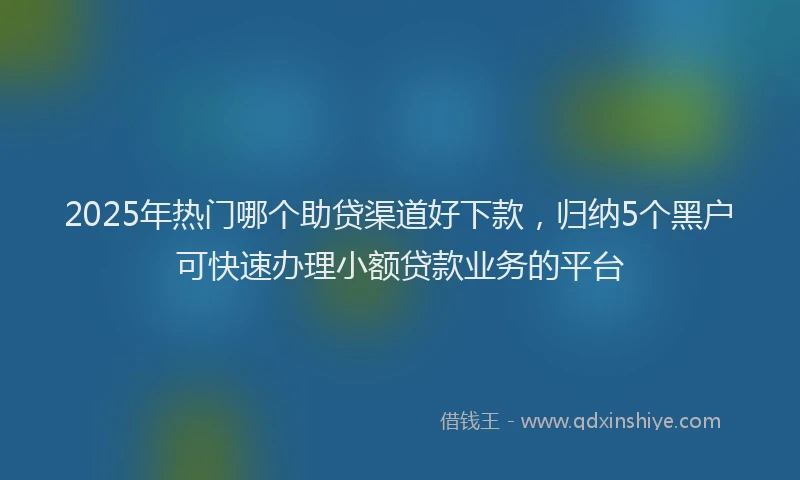 2025年热门哪个助贷渠道好下款，归纳5个黑户可快速办理小额贷款业务的平台