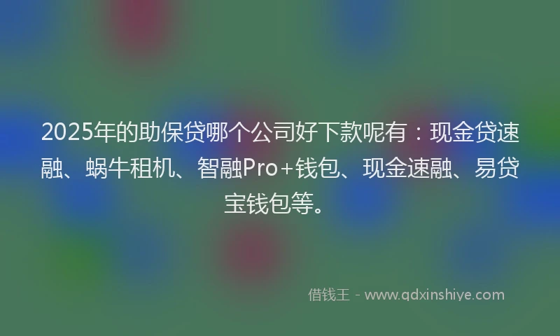 2025年的助保贷哪个公司好下款呢有：现金贷速融、蜗牛租机、智融Pro+钱包、现金速融、易贷宝钱包等。