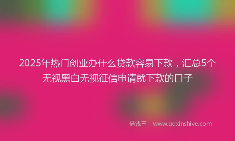 2025年热门创业办什么贷款容易下款，汇总5个无视黑白无视征信申请就下款的口子