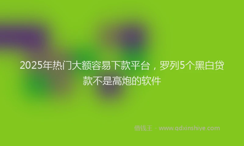 2025年热门大额容易下款平台，罗列5个黑白贷款不是高炮的软件