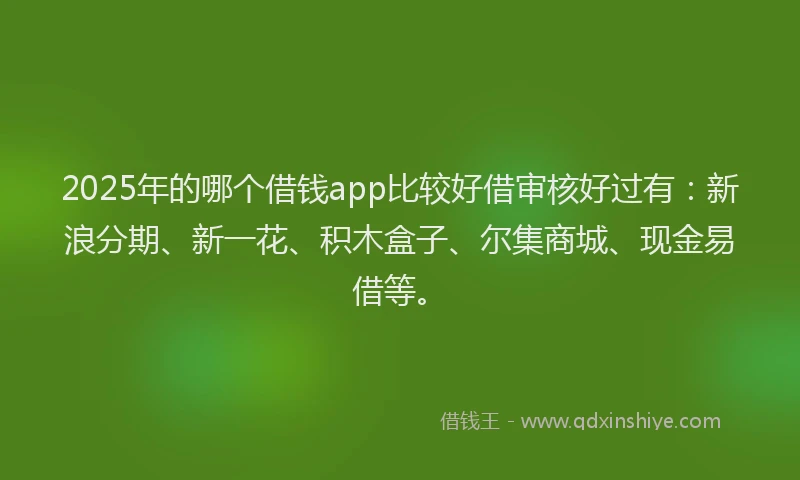 2025年的哪个借钱app比较好借审核好过有：新浪分期、新一花、积木盒子、尔集商城、现金易借等。
