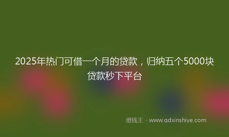 2025年热门可借一个月的贷款，归纳五个5000块贷款秒下平台