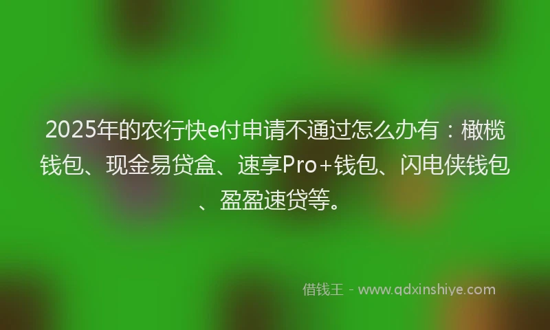 2025年的农行快e付申请不通过怎么办有：橄榄钱包、现金易贷盒、速享Pro+钱包、闪电侠钱包、盈盈速贷等。