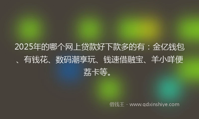 2025年的哪个网上贷款好下款多的有：金亿钱包、有钱花、数码潮享玩、钱速借融宝、羊小咩便荔卡等。