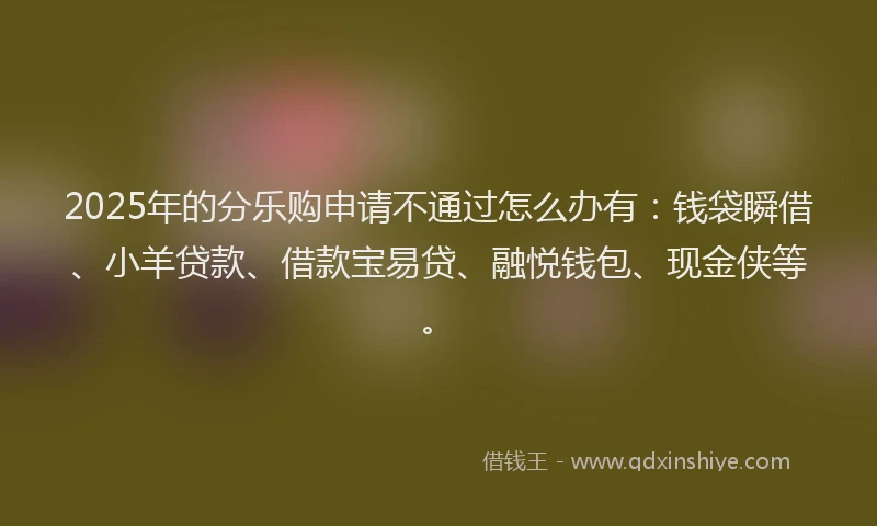 2025年的分乐购申请不通过怎么办有：钱袋瞬借、小羊贷款、借款宝易贷、融悦钱包、现金侠等。