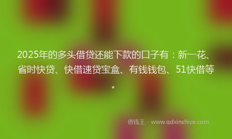 2025年的多头借贷还能下款的口子有：新一花、省时快贷、快借速贷宝盒、有钱钱包、51快借等。