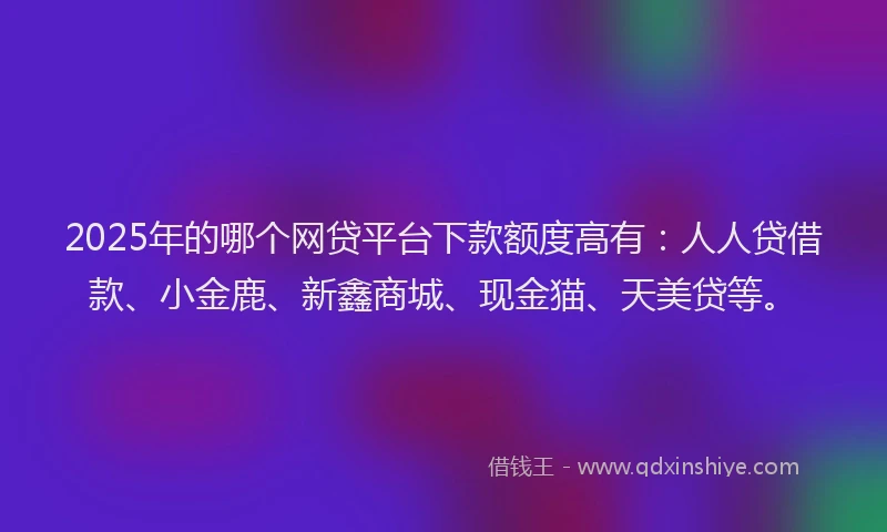 2025年的哪个网贷平台下款额度高有：人人贷借款、小金鹿、新鑫商城、现金猫、天美贷等。