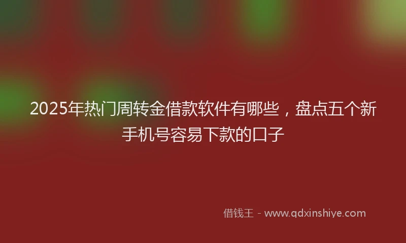 2025年热门周转金借款软件有哪些，盘点五个新手机号容易下款的口子
