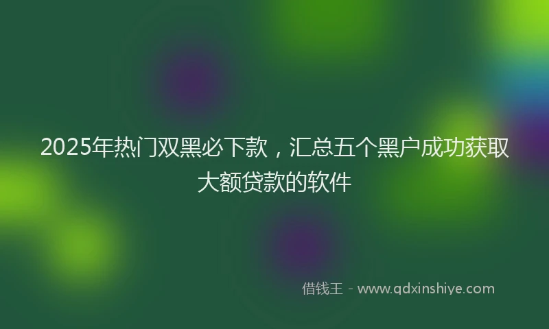 2025年热门双黑必下款，汇总五个黑户成功获取大额贷款的软件