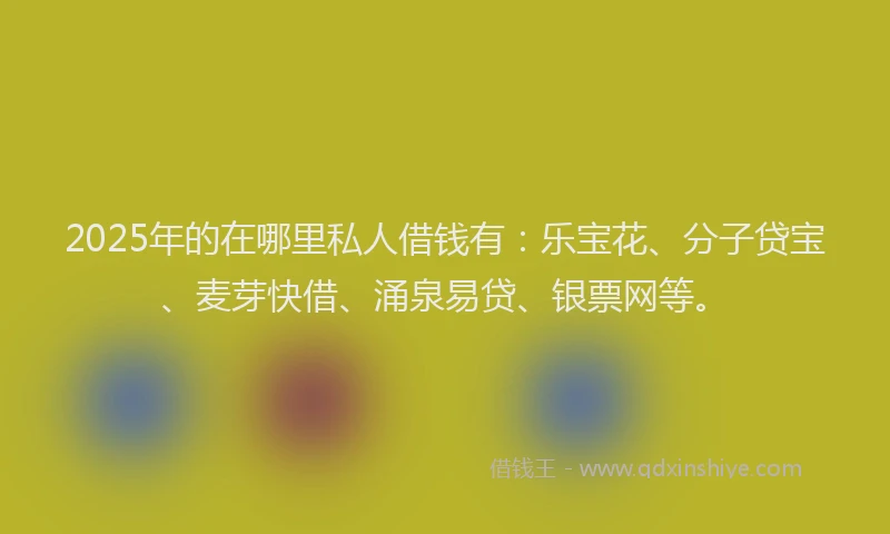 2025年的在哪里私人借钱有：乐宝花、分子贷宝、麦芽快借、涌泉易贷、银票网等。