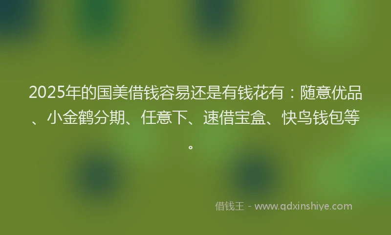 2025年的国美借钱容易还是有钱花有：随意优品、小金鹤分期、任意下、速借宝盒、快鸟钱包等。