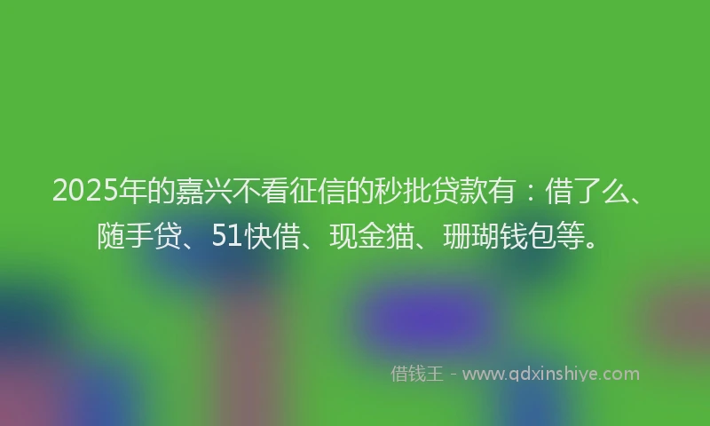 2025年的嘉兴不看征信的秒批贷款有：借了么、随手贷、51快借、现金猫、珊瑚钱包等。