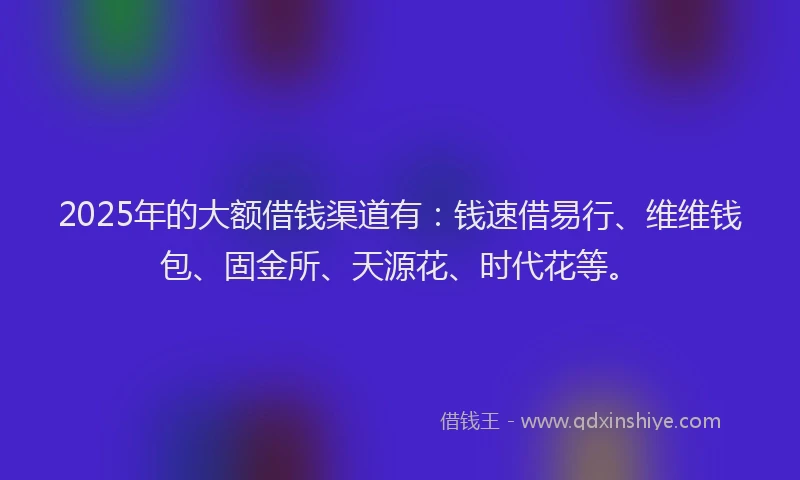 2025年的大额借钱渠道有：钱速借易行、维维钱包、固金所、天源花、时代花等。