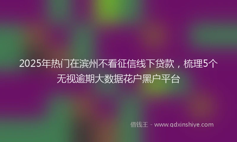 2025年热门在滨州不看征信线下贷款，梳理5个无视逾期大数据花户黑户平台
