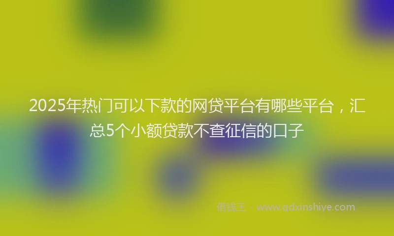 2025年热门可以下款的网贷平台有哪些平台，汇总5个小额贷款不查征信的口子