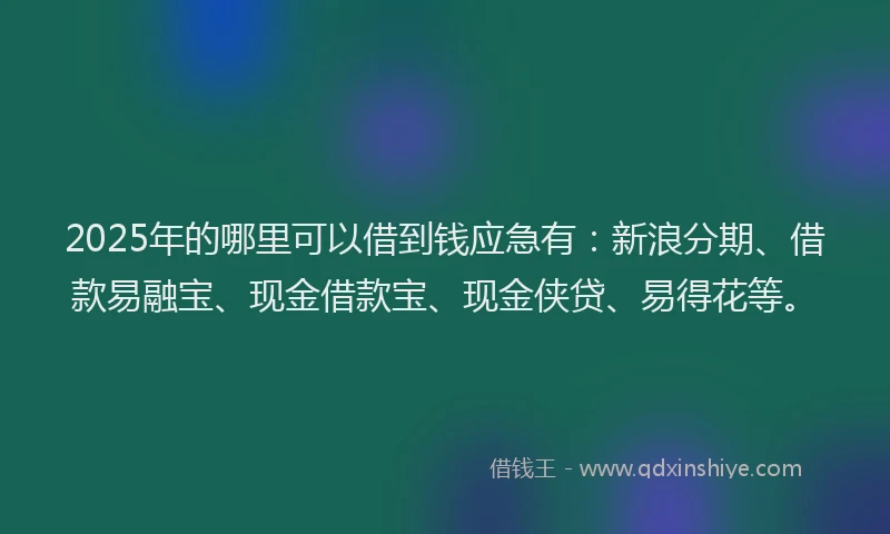 2025年的哪里可以借到钱应急有：新浪分期、借款易融宝、现金借款宝、现金侠贷、易得花等。