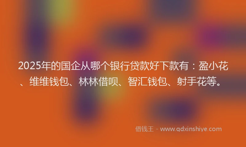 2025年的国企从哪个银行贷款好下款有：盈小花、维维钱包、林林借呗、智汇钱包、射手花等。