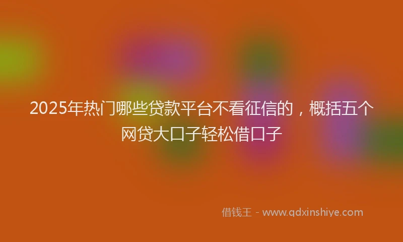 2025年热门哪些贷款平台不看征信的，概括五个网贷大口子轻松借口子