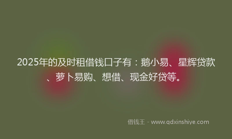 2025年的及时租借钱口子有：鹅小易、星辉贷款、萝卜易购、想借、现金好贷等。