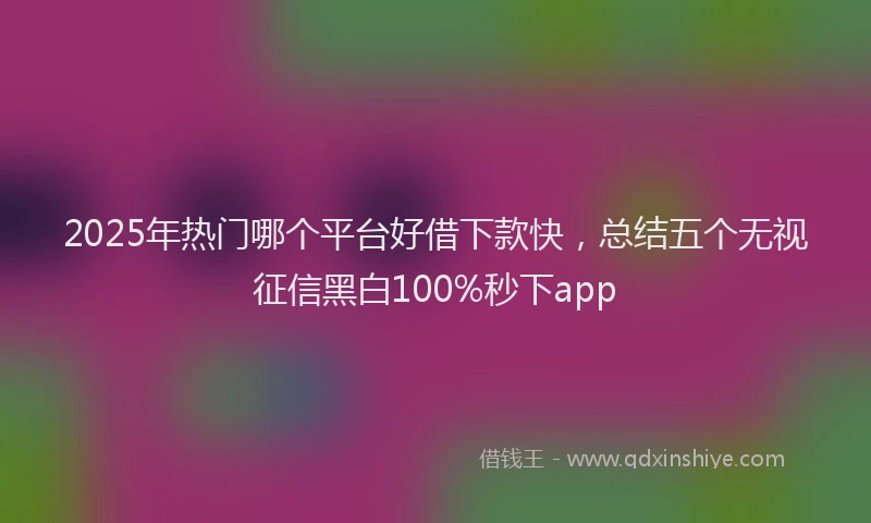 2025年热门哪个平台好借下款快，总结五个无视征信黑白100%秒下app