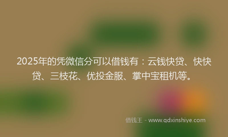 2025年的凭微信分可以借钱有：云钱快贷、快快贷、三枝花、优投金服、掌中宝租机等。