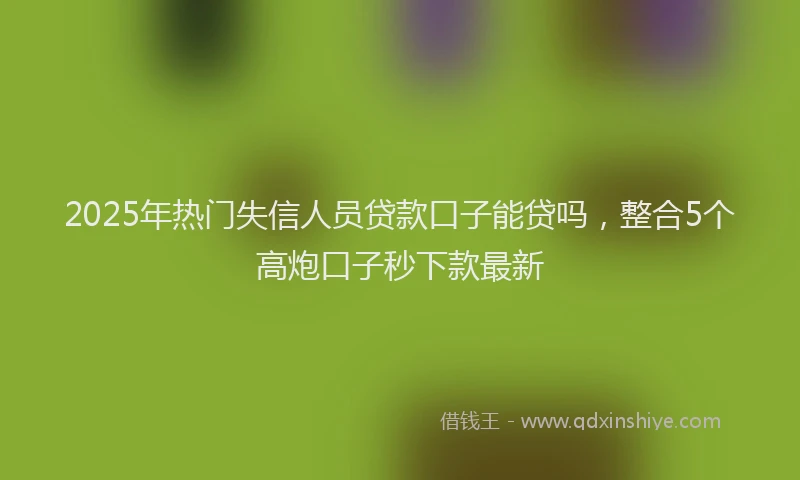 2025年热门失信人员贷款口子能贷吗，整合5个高炮口子秒下款最新