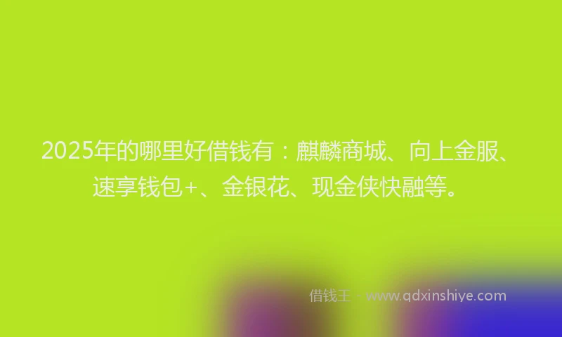 2025年的哪里好借钱有：麒麟商城、向上金服、速享钱包+、金银花、现金侠快融等。