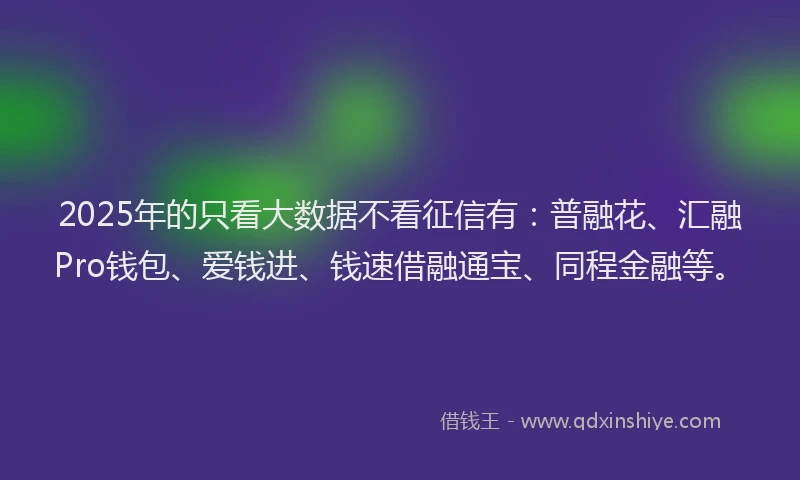 2025年的只看大数据不看征信有：普融花、汇融Pro钱包、爱钱进、钱速借融通宝、同程金融等。