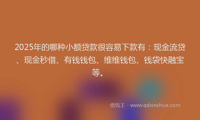 2025年的哪种小额贷款很容易下款有：现金流贷、现金秒借、有钱钱包、维维钱包、钱袋快融宝等。