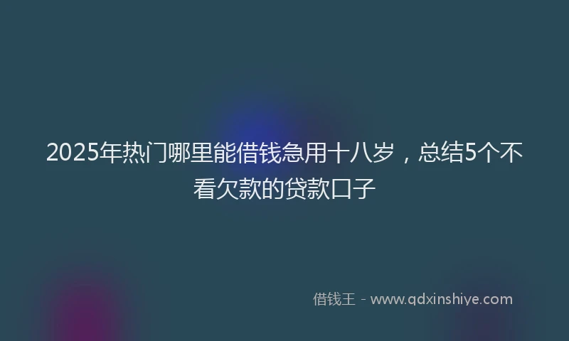 2025年热门哪里能借钱急用十八岁，总结5个不看欠款的贷款口子