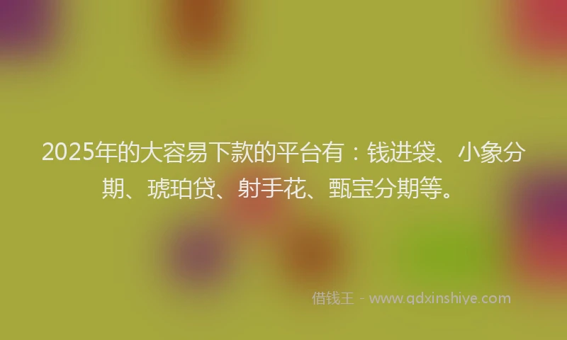 2025年的大容易下款的平台有：钱进袋、小象分期、琥珀贷、射手花、甄宝分期等。