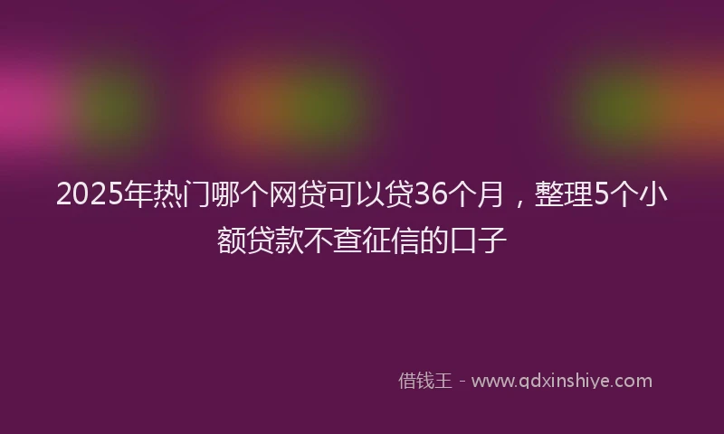 2025年热门哪个网贷可以贷36个月，整理5个小额贷款不查征信的口子